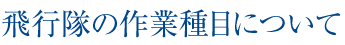 飛行隊の作業種目について